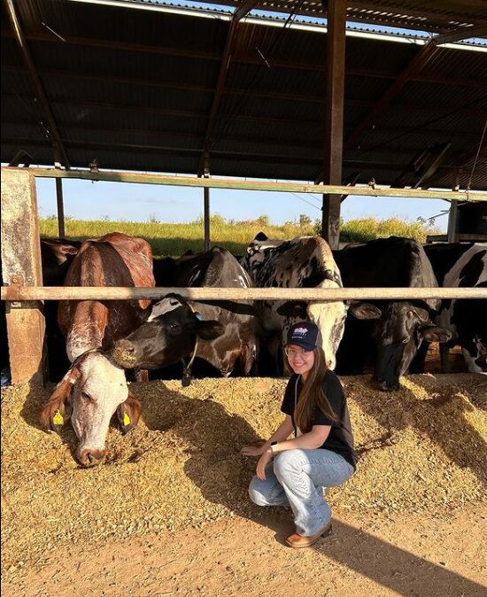 Captura de tela 2024-08-27 204625