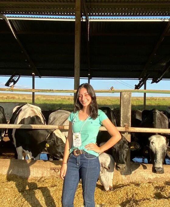 Captura de tela 2024-08-27 205129