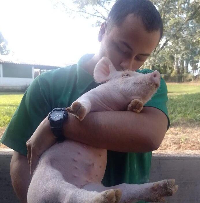 Captura de tela 2024-08-27 215620